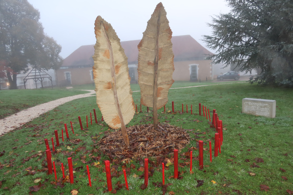 Très belle initiative
