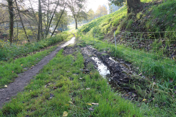 L'eau du fossé détruit envahi le chemin