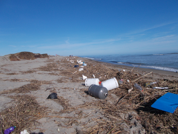 Une belle plage, les enfants sont ravis de jouer avec les déchets et seringues